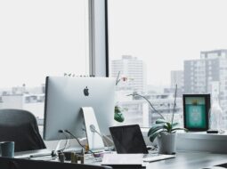 How C-Suite Leaders Can Cultivate a Culture of Innovation